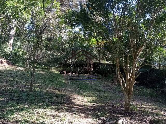 Terreno para Venda em Suzano - 4
