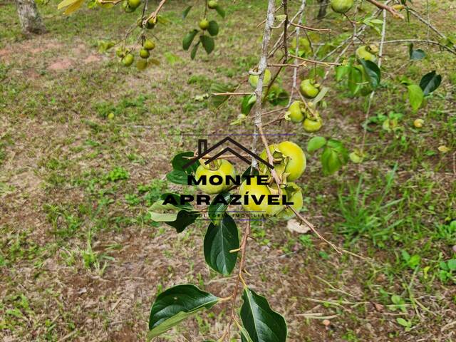 Chácara para Venda em Mogi das Cruzes - 4