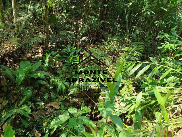 #116 - Área para Venda em Ribeirão Pires - SP - 1