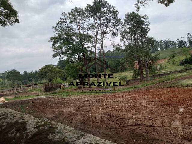 #170 - Sítio para Venda em Suzano - SP - 3