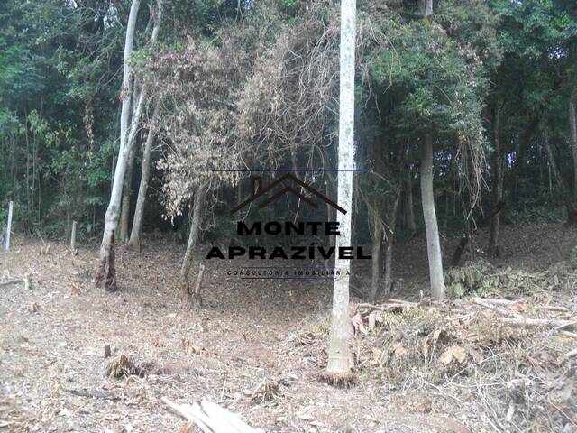 #209 - Terreno para Venda em Suzano - SP - 2