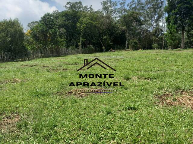 #229 - Área para Venda em Suzano - SP - 2