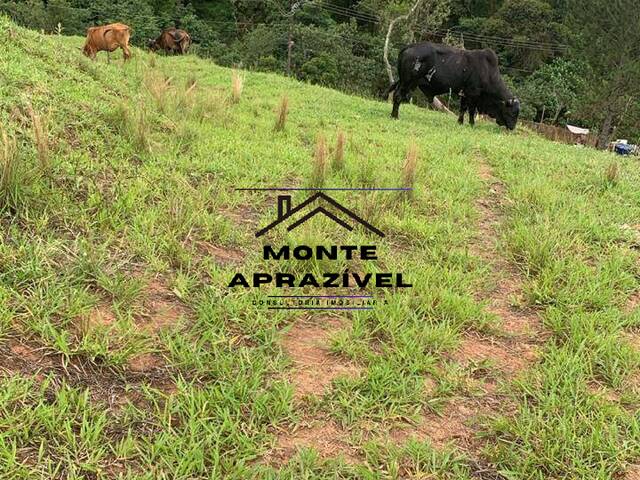 #269 - Área para Incorporação para Venda em Suzano - SP - 3