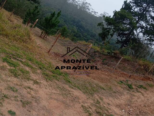 #290 - Área para Venda em Suzano - SP - 3