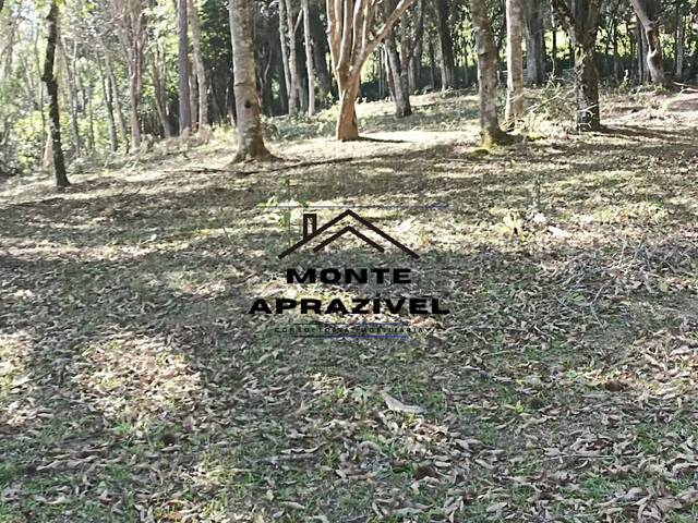 #338 - Chácara para Locação em Suzano - SP - 2