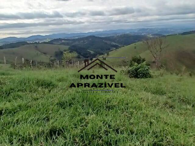 #339 - Área para Venda em Santa Isabel - SP - 1