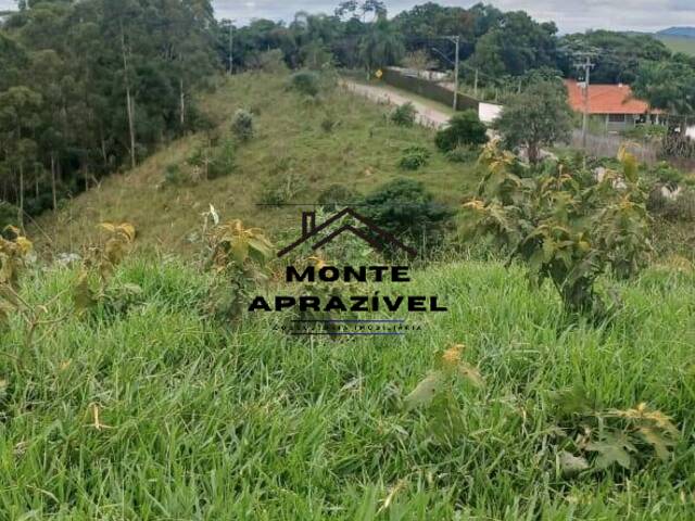 #339 - Área para Venda em Santa Isabel - SP - 3