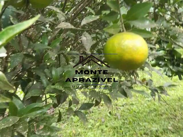 #343 - Chácara para Venda em Rio Grande da Serra - SP - 2