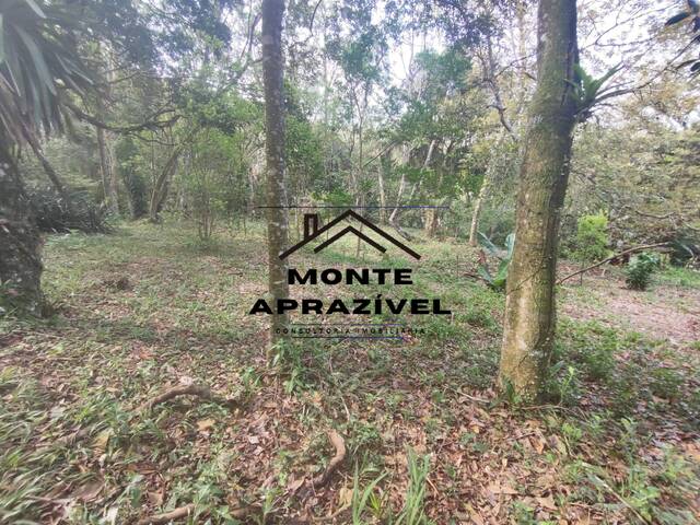 #359 - Chácara para Venda em Ribeirão Pires - SP - 2