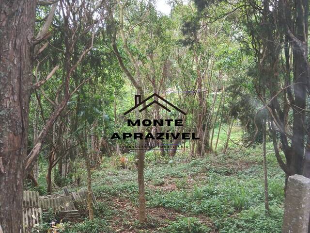 #369 - Área para Venda em Suzano - SP - 1