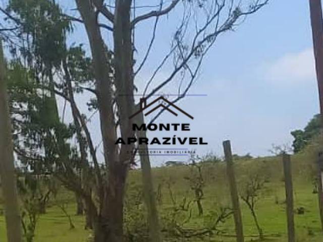 #386 - Terreno para Venda em Suzano - SP - 3