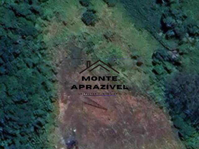 #437 - Área para Venda em Ribeirão Pires - SP - 3