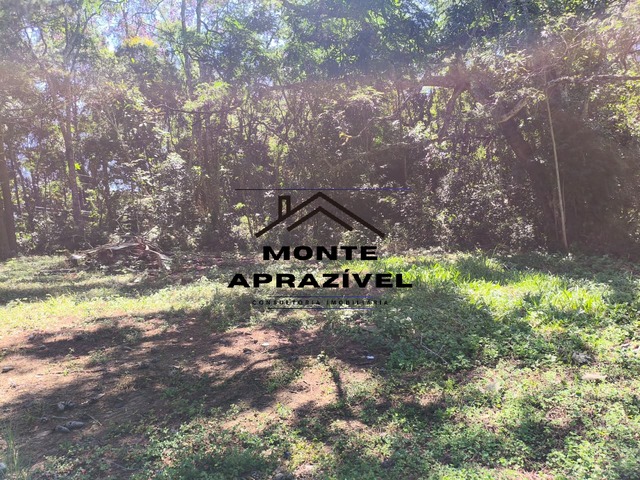 #441 - Chácara para Venda em Suzano - SP - 3