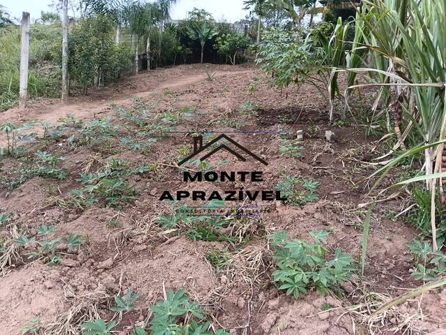 Chácara para Venda em Suzano - 3