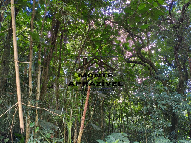 Terreno para Venda em Ribeirão Pires - 2