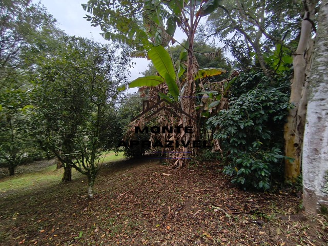 Chácara para Venda em Suzano - 5