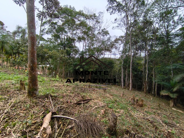 Terreno para Venda em Suzano - 4