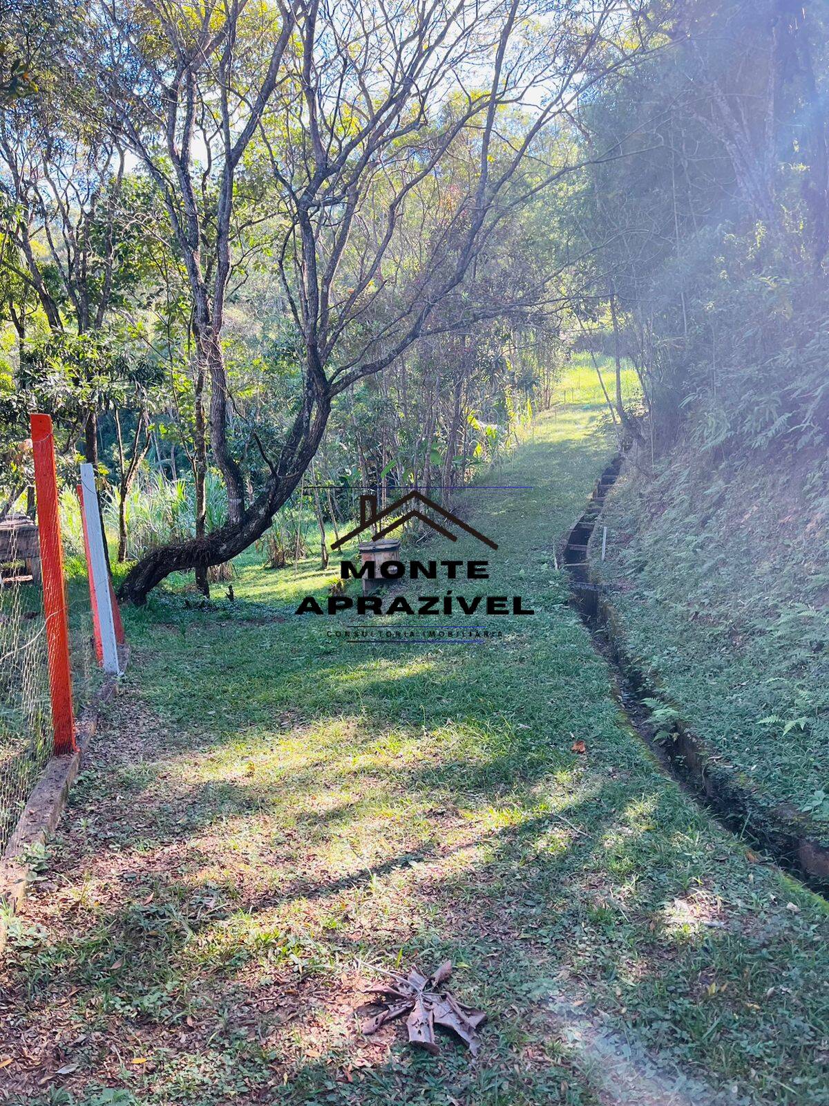 Chácara à venda com 4 quartos, 12000m² - Foto 5