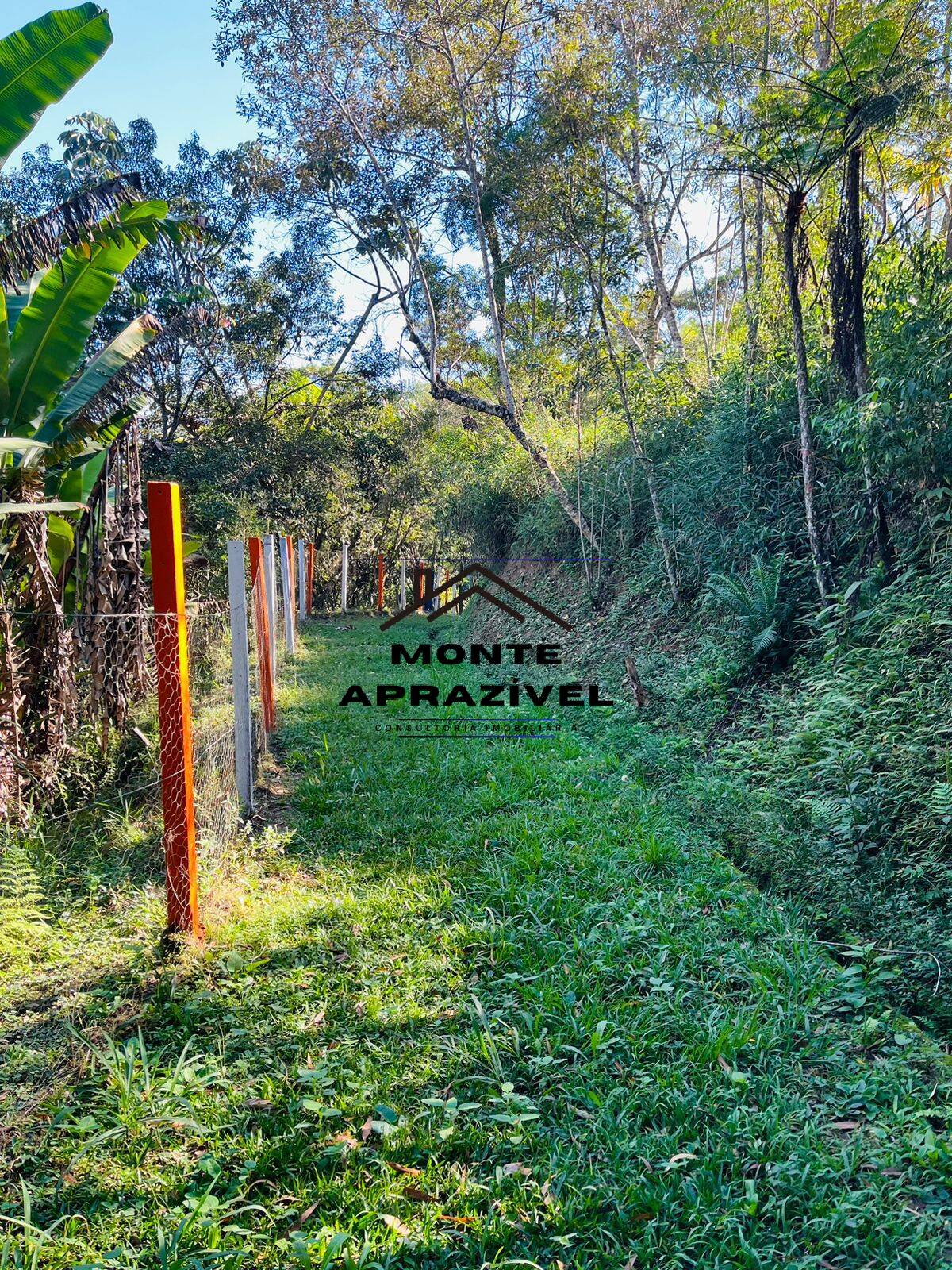 Chácara à venda com 4 quartos, 12000m² - Foto 7