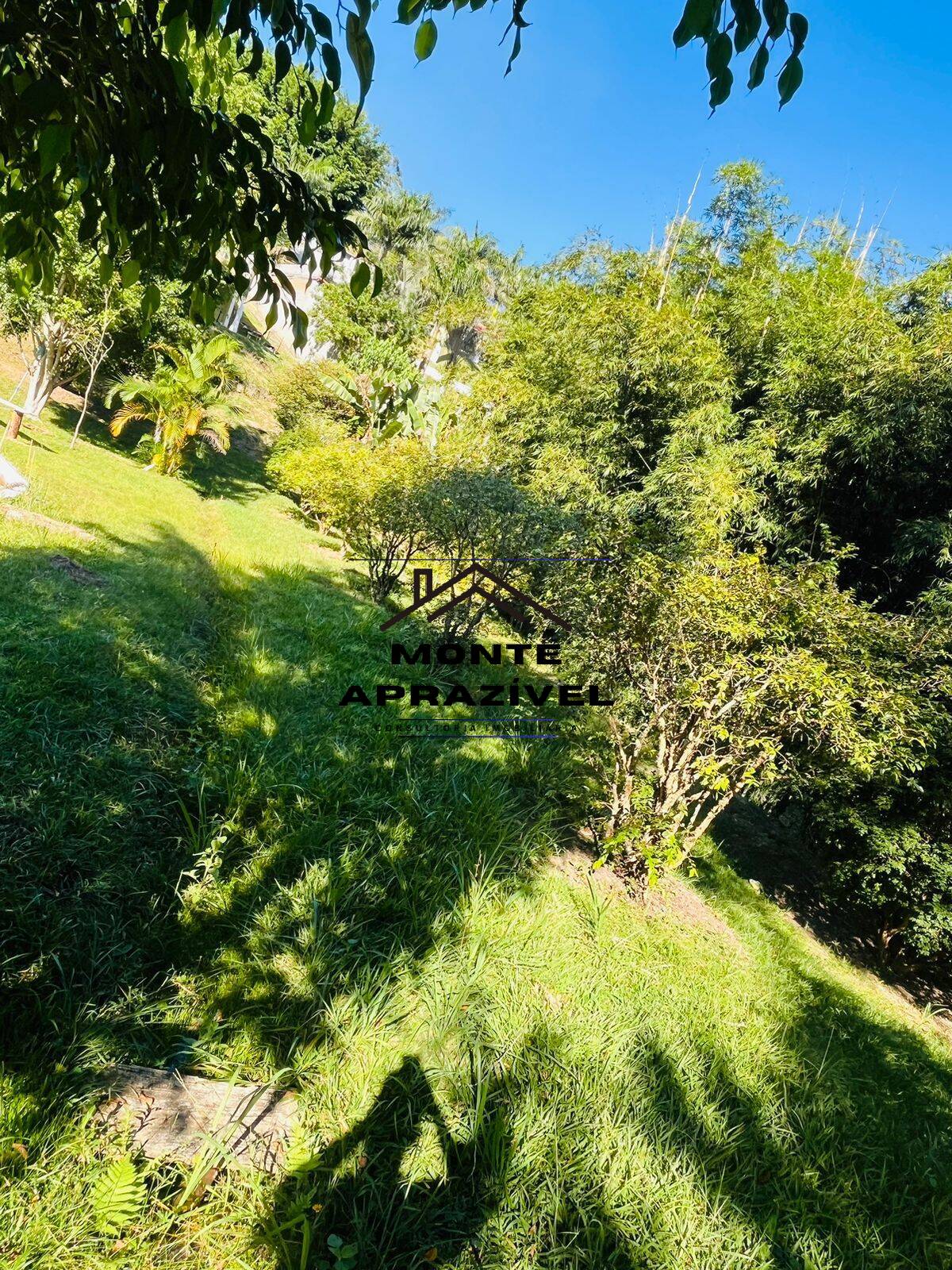 Chácara à venda com 4 quartos, 12000m² - Foto 10