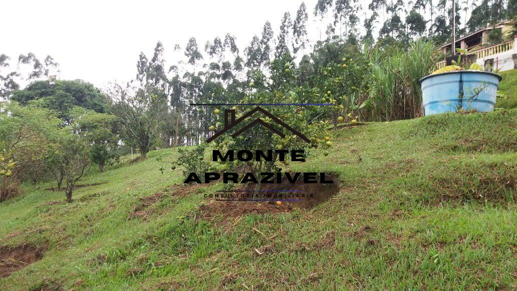 Chácara à venda com 4 quartos, 12000m² - Foto 9