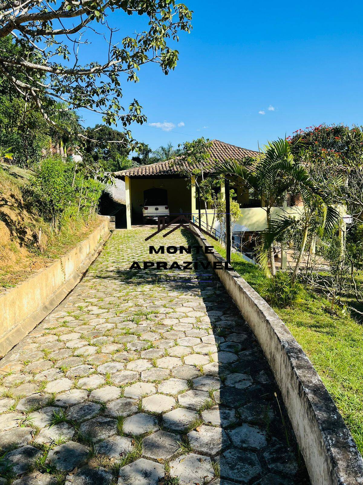 Chácara à venda com 4 quartos, 12000m² - Foto 12