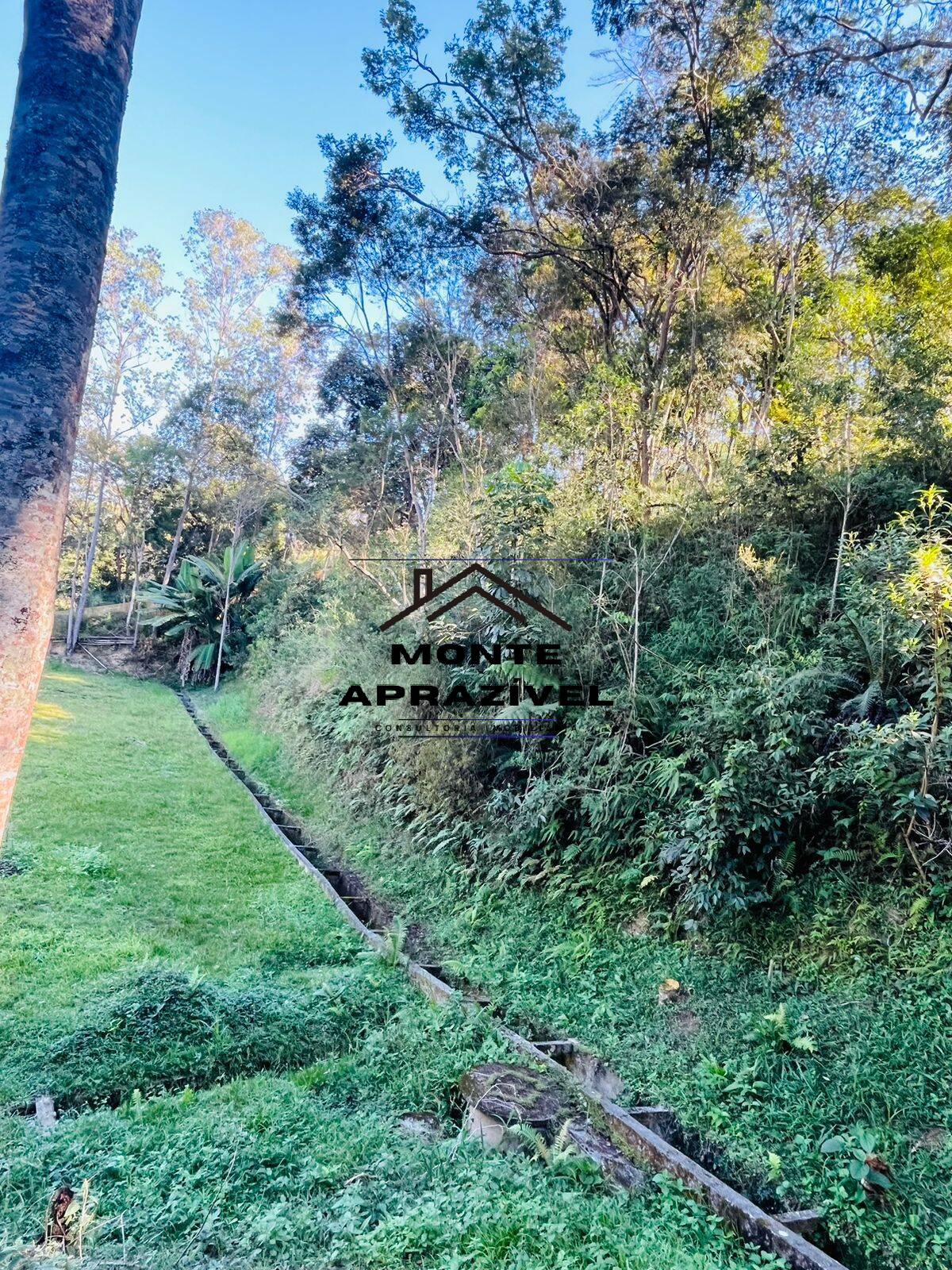 Chácara à venda com 4 quartos, 12000m² - Foto 13
