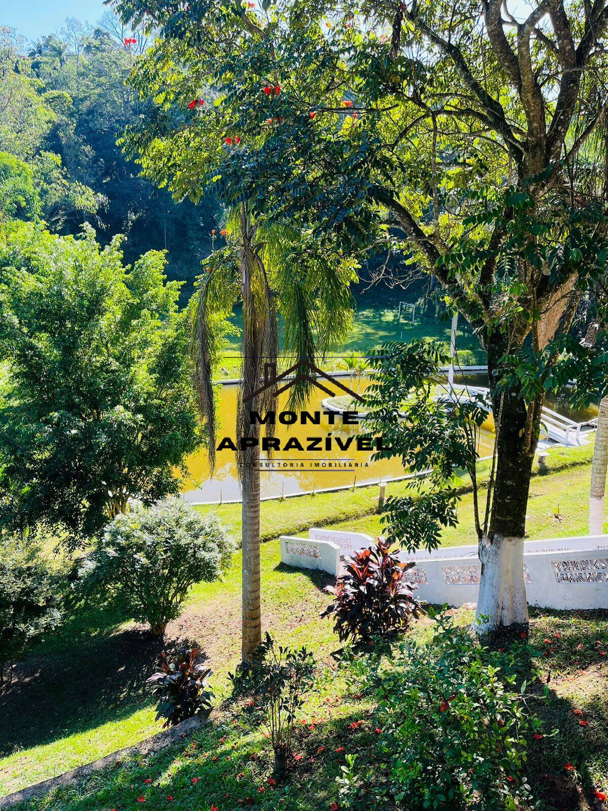 Chácara à venda com 4 quartos, 12000m² - Foto 14
