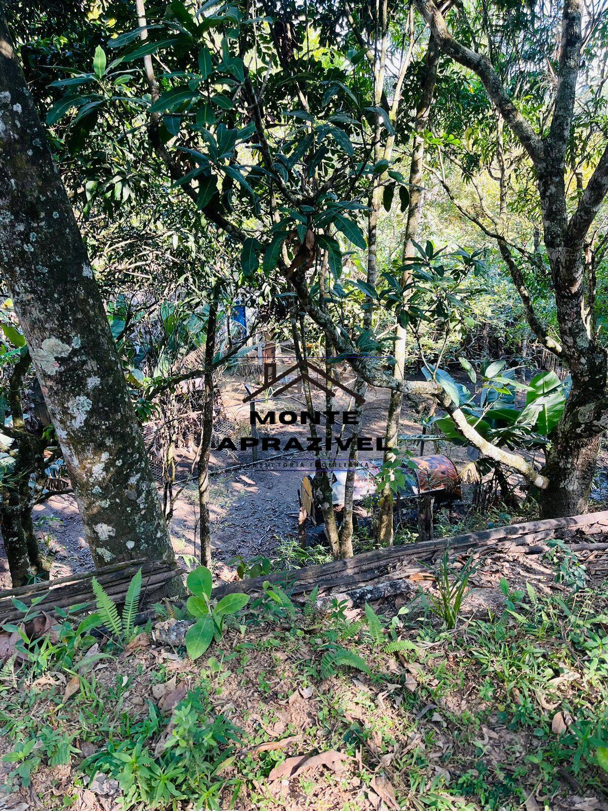 Chácara à venda com 4 quartos, 12000m² - Foto 15