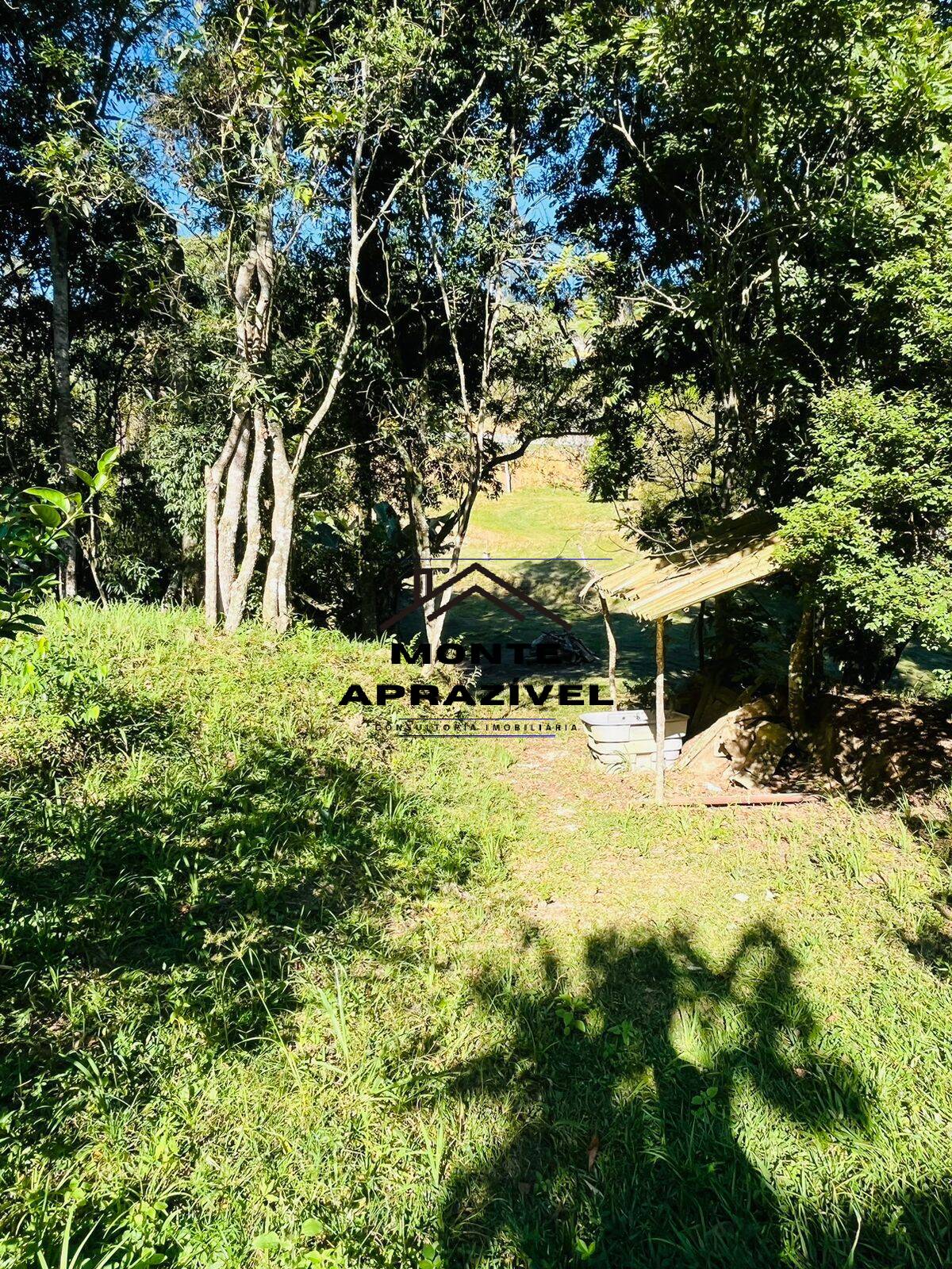 Chácara à venda com 4 quartos, 12000m² - Foto 17