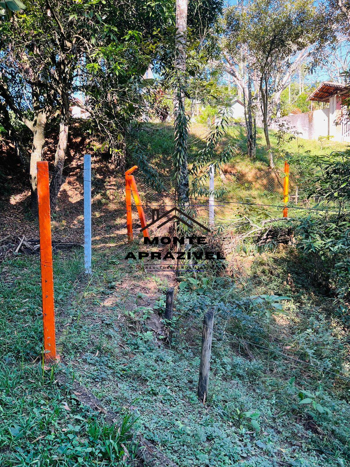 Chácara à venda com 4 quartos, 12000m² - Foto 21