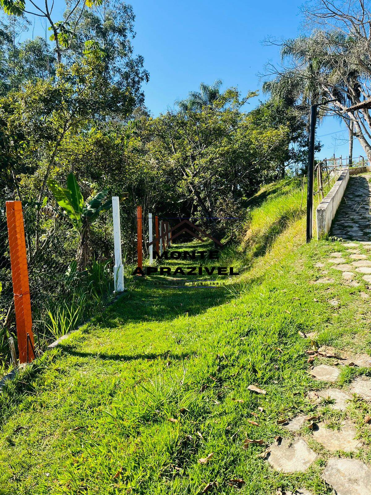 Chácara à venda com 4 quartos, 12000m² - Foto 27