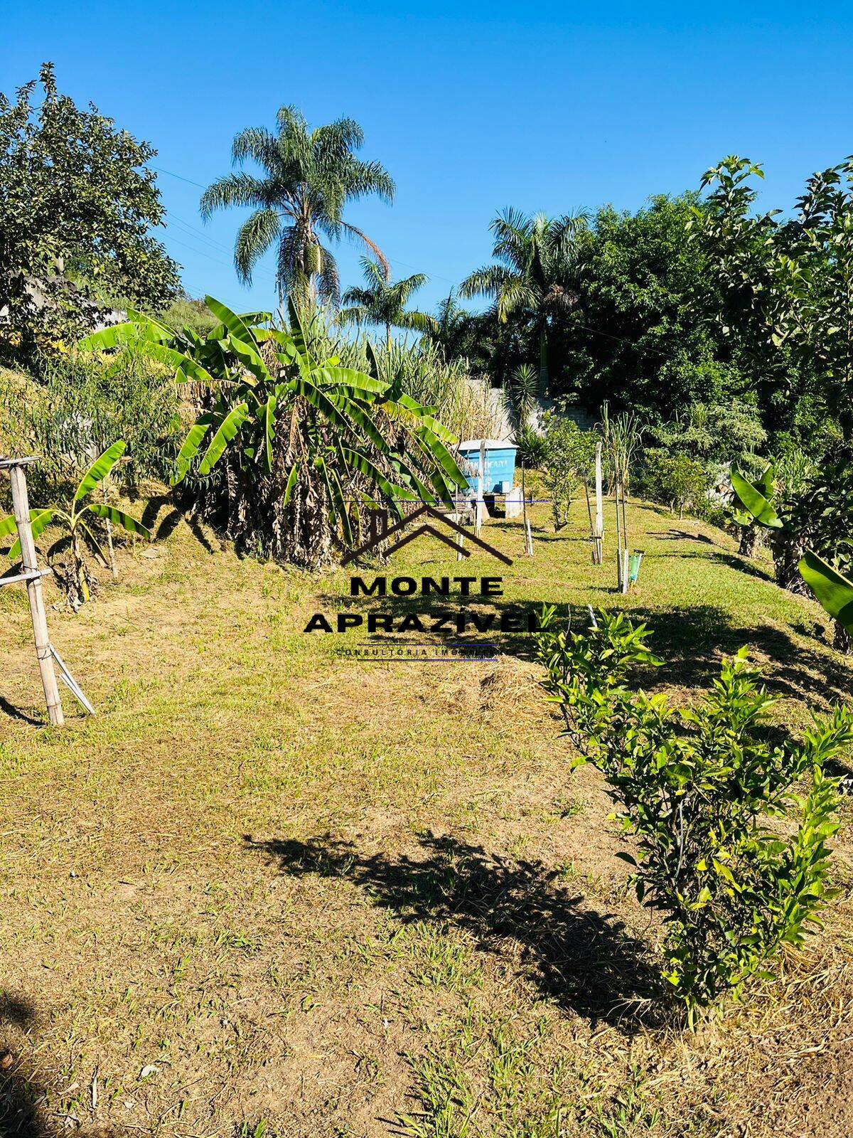 Chácara à venda com 4 quartos, 12000m² - Foto 28