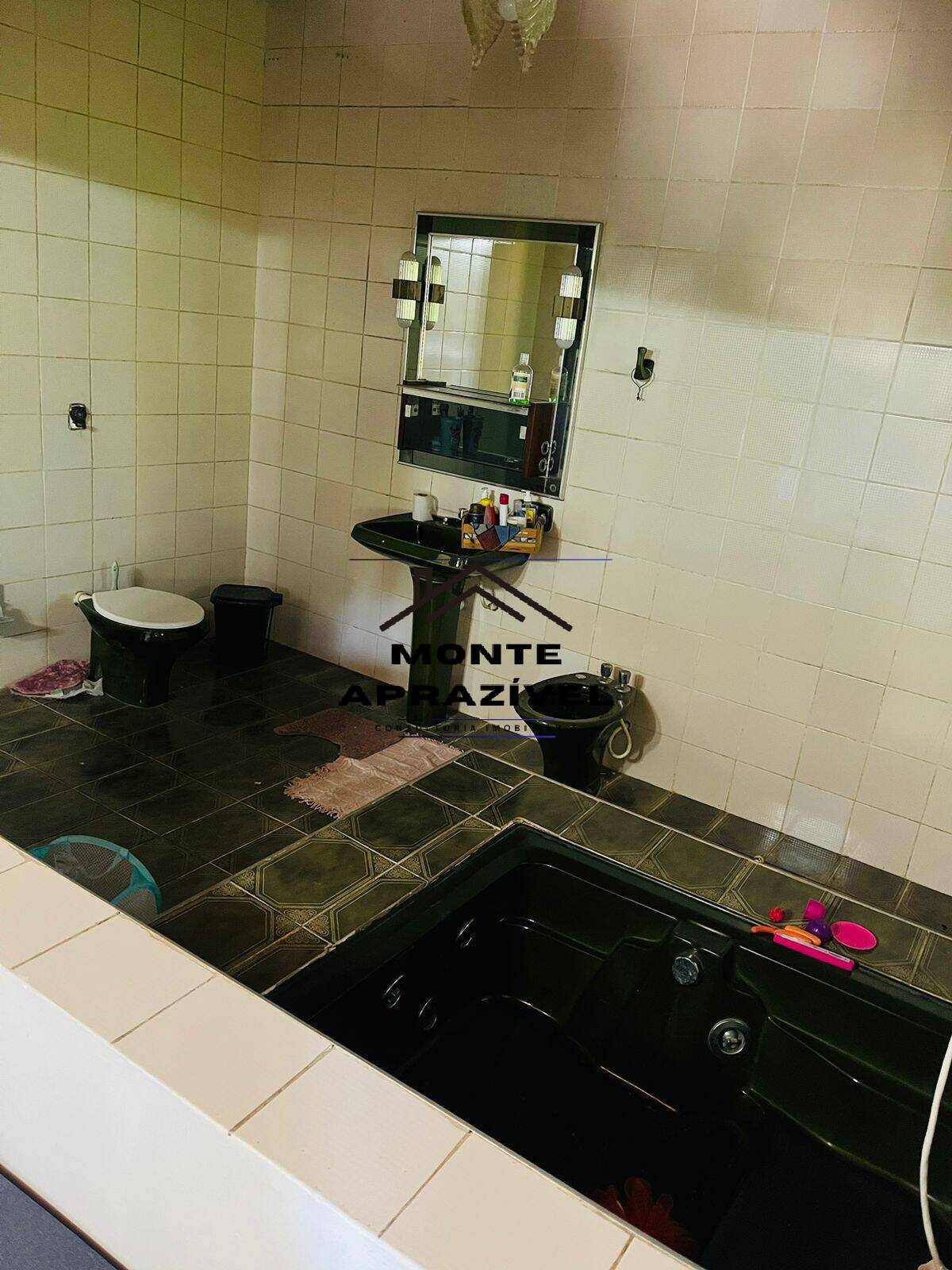 Chácara à venda com 4 quartos, 12000m² - Foto 29