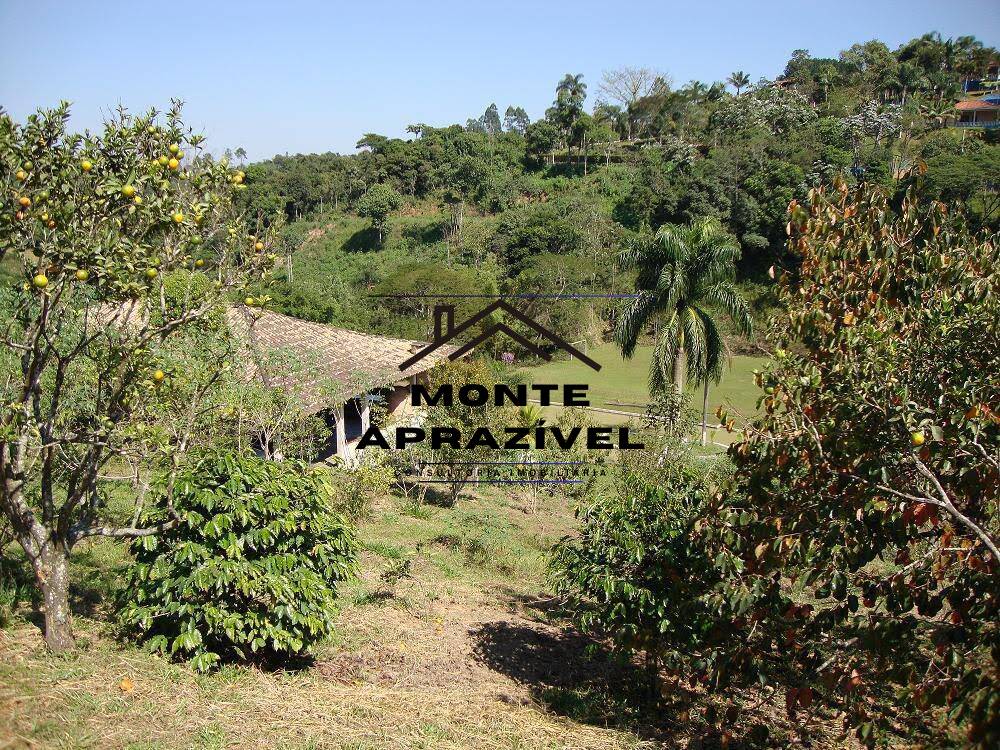 Chácara à venda com 4 quartos, 12000m² - Foto 32
