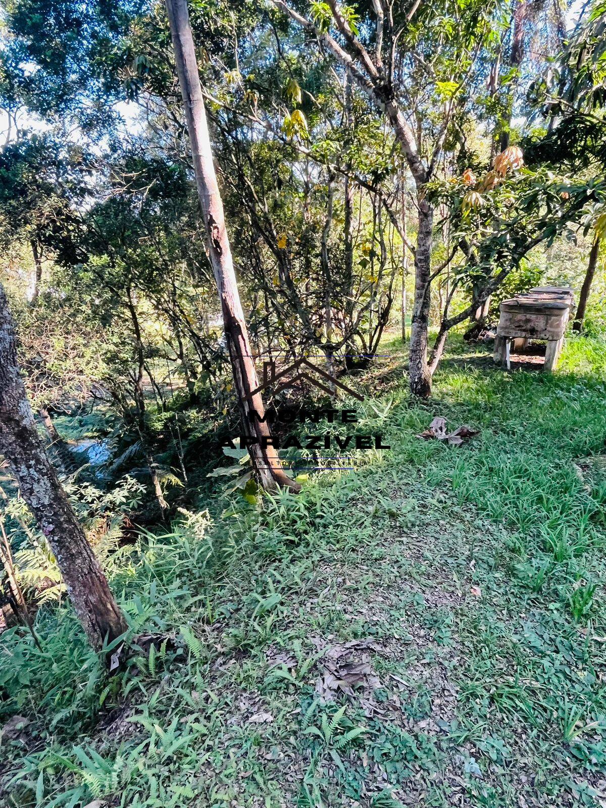 Chácara à venda com 4 quartos, 12000m² - Foto 35