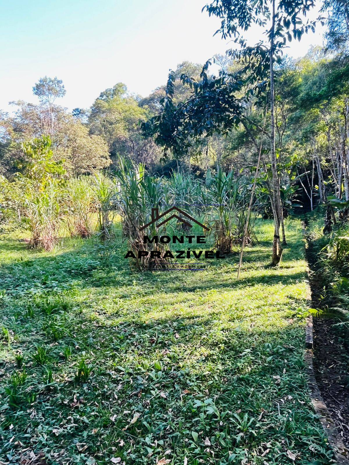 Chácara à venda com 4 quartos, 12000m² - Foto 37