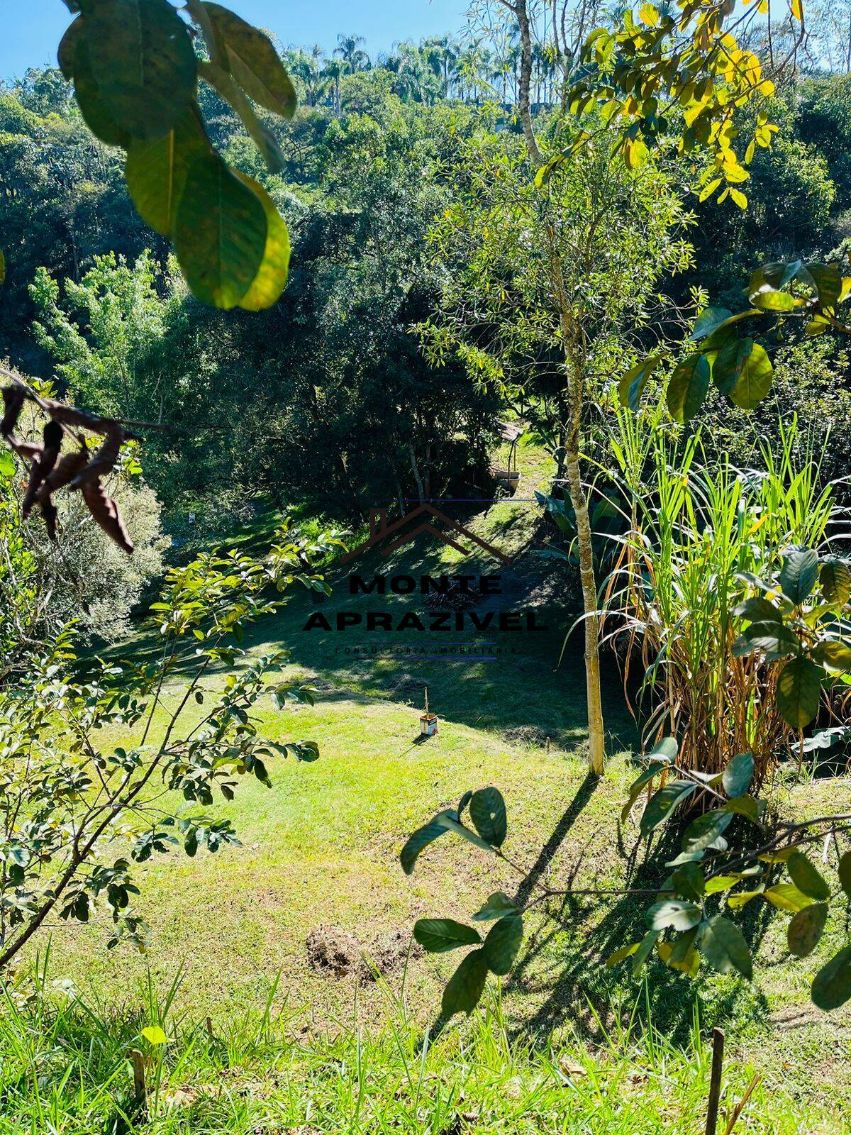 Chácara à venda com 4 quartos, 12000m² - Foto 40
