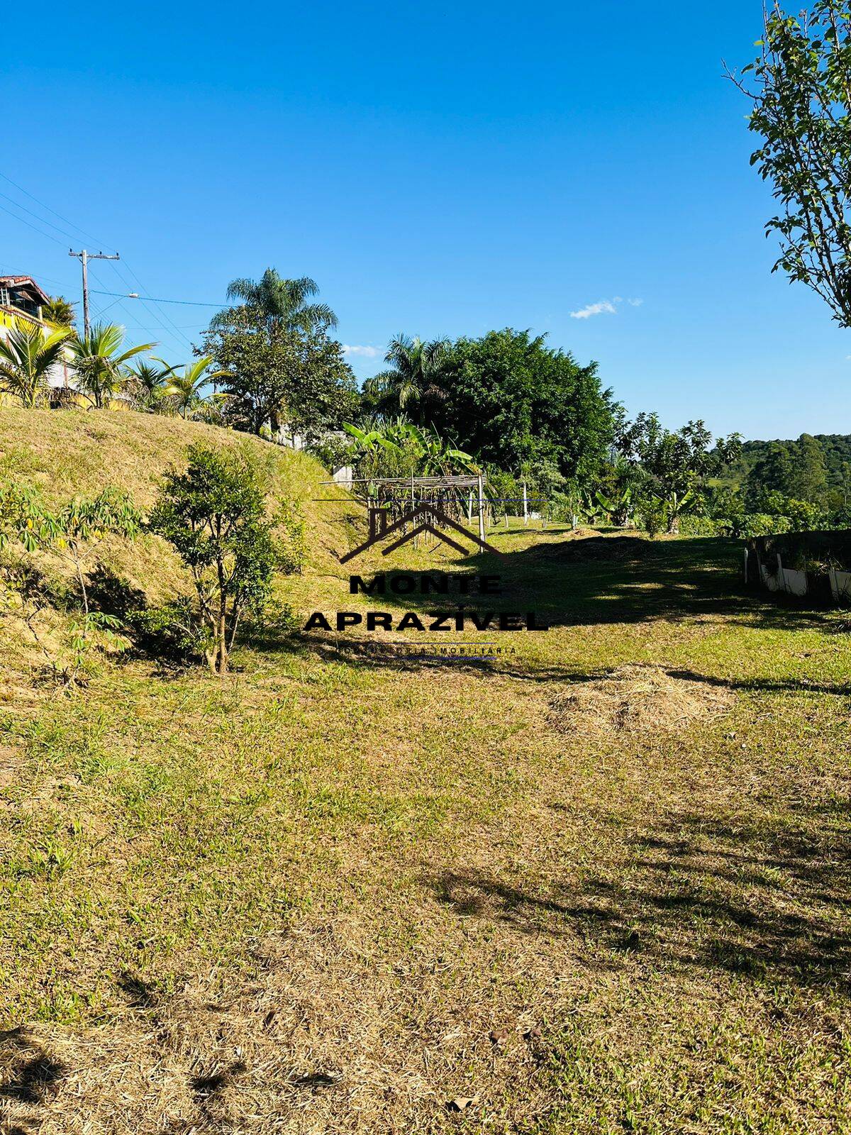 Chácara à venda com 4 quartos, 12000m² - Foto 48