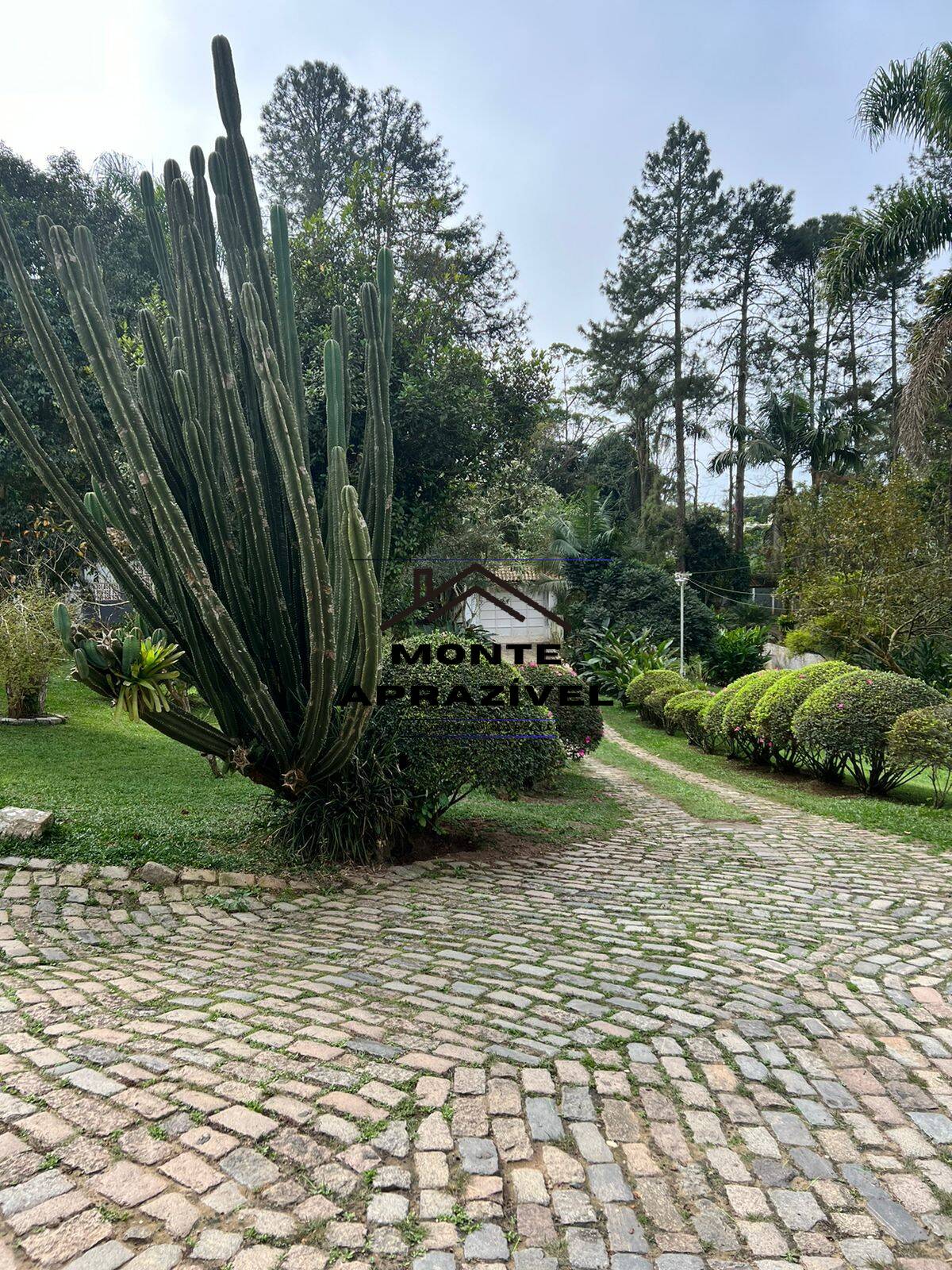 Chácara à venda com 3 quartos, 3000m² - Foto 7