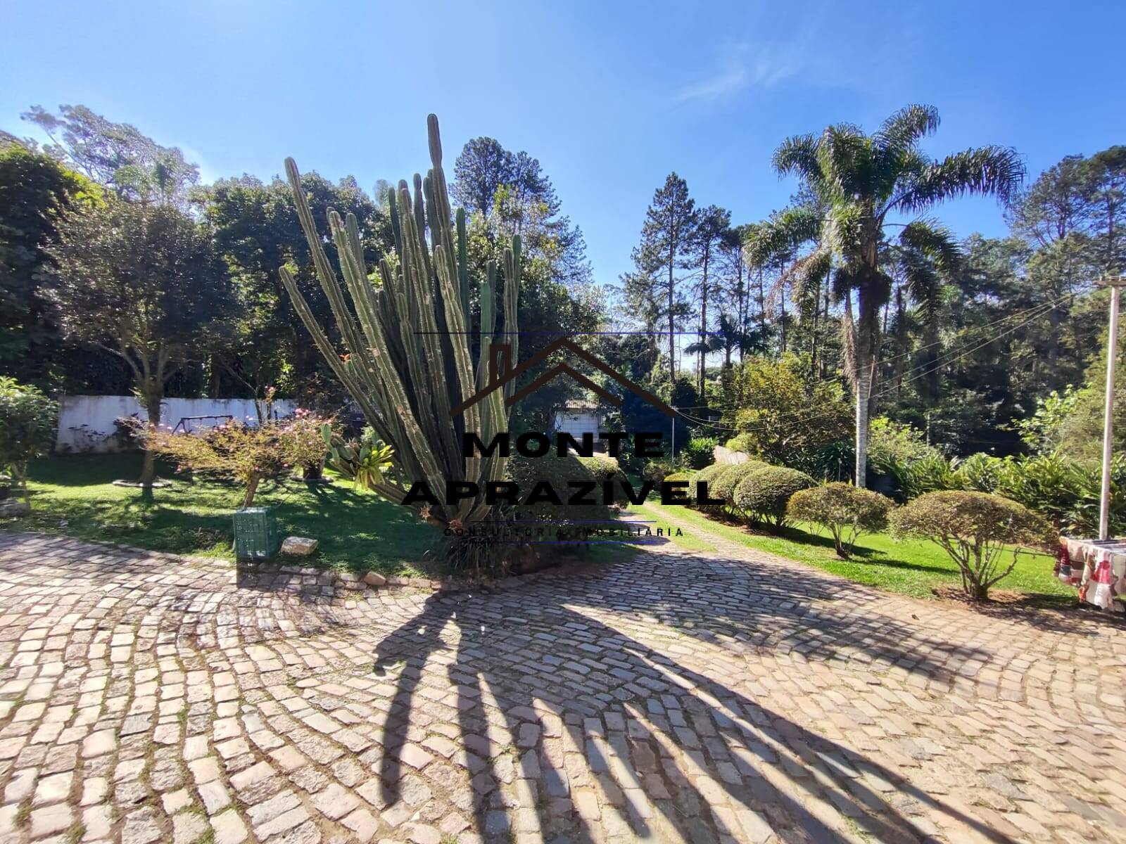 Chácara à venda com 3 quartos, 3000m² - Foto 14
