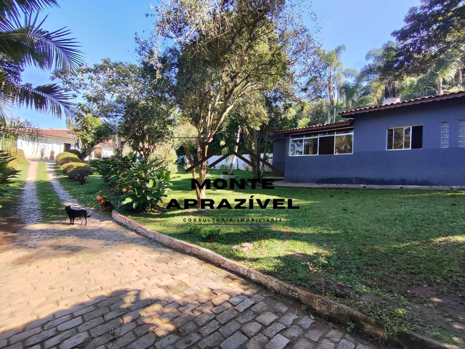 Chácara à venda com 3 quartos, 3000m² - Foto 22