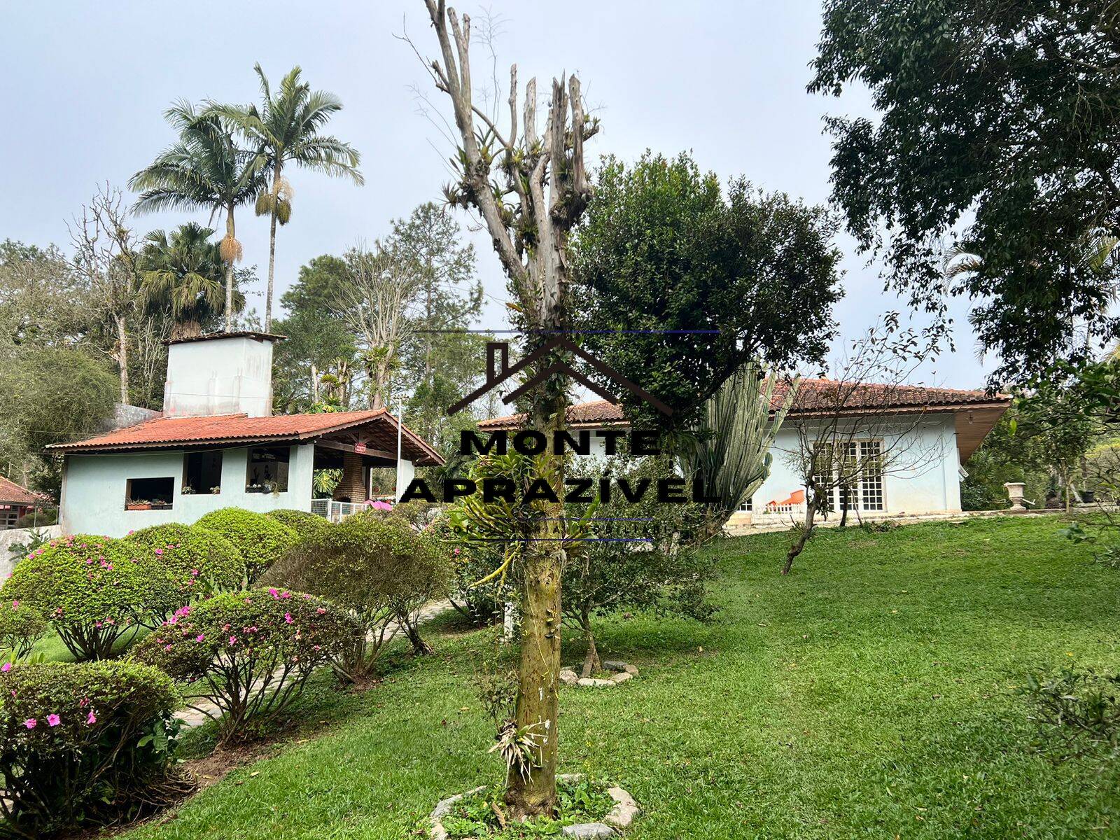 Chácara à venda com 3 quartos, 3000m² - Foto 54