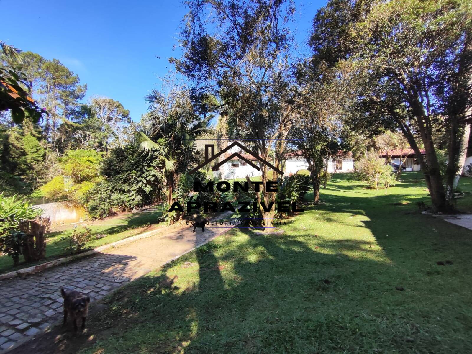 Chácara à venda com 3 quartos, 3000m² - Foto 58