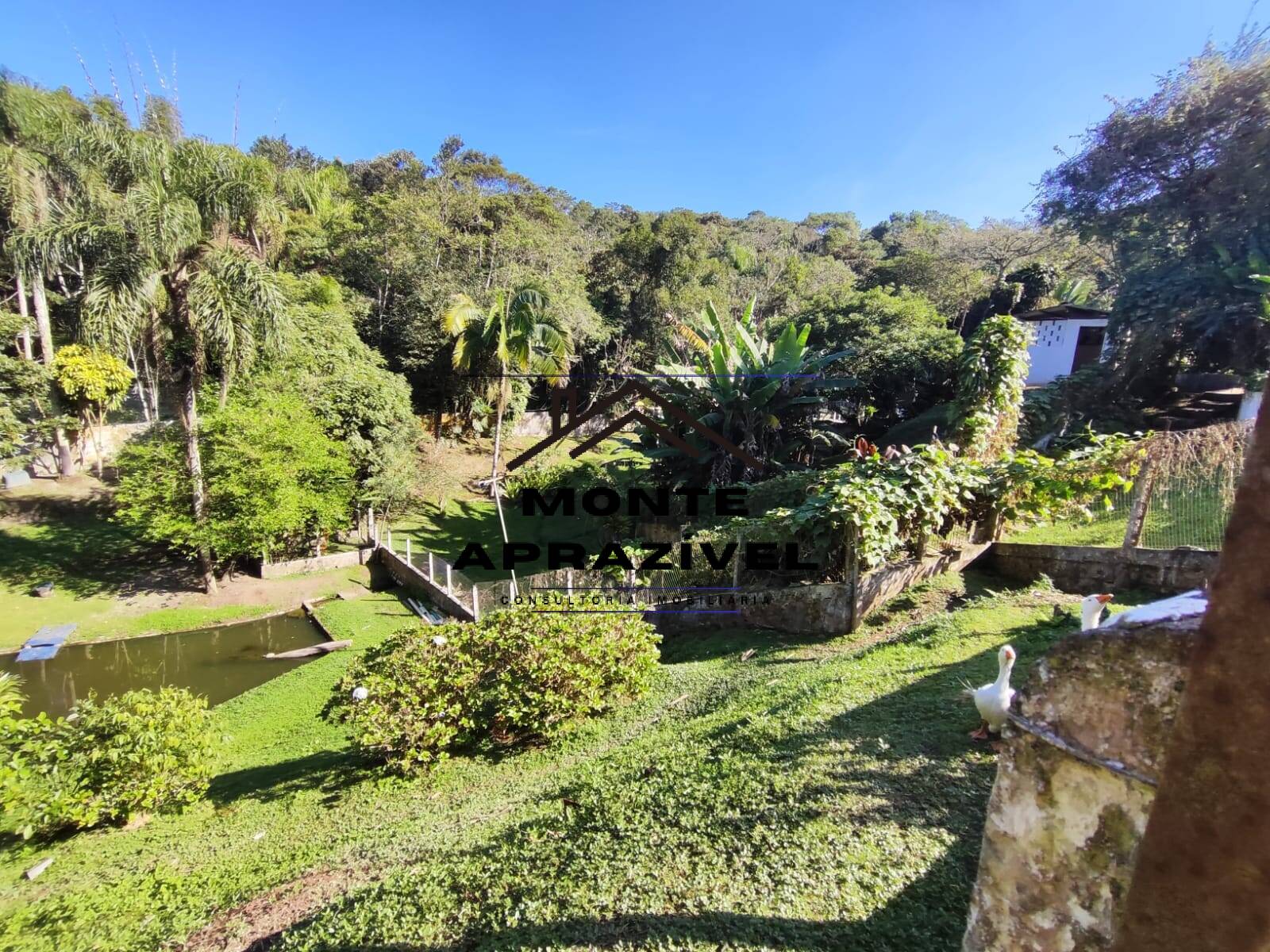 Chácara à venda com 3 quartos, 3000m² - Foto 66