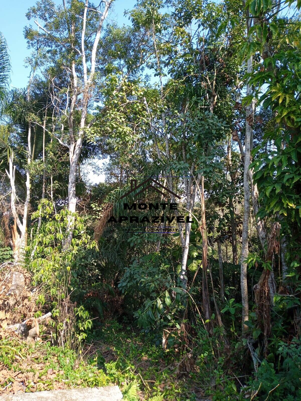 Chácara à venda com 3 quartos, 2141m² - Foto 25