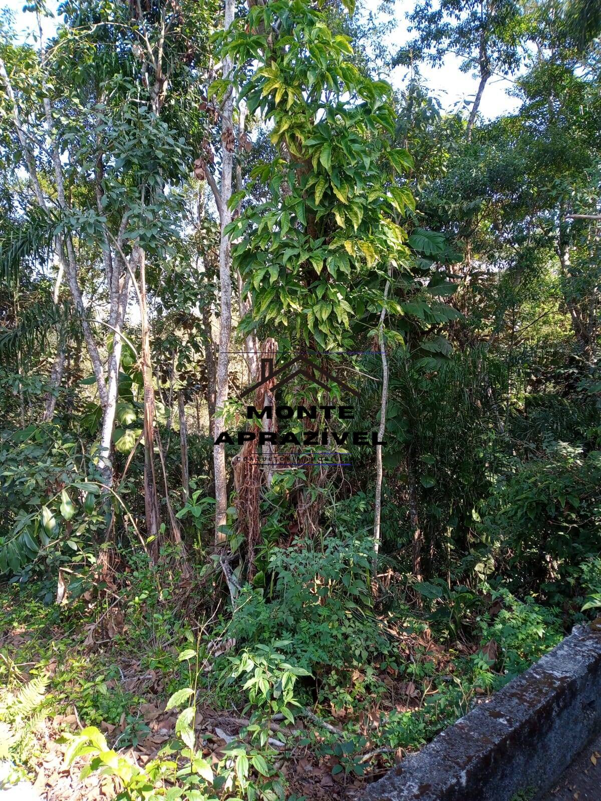 Chácara à venda com 3 quartos, 2141m² - Foto 50