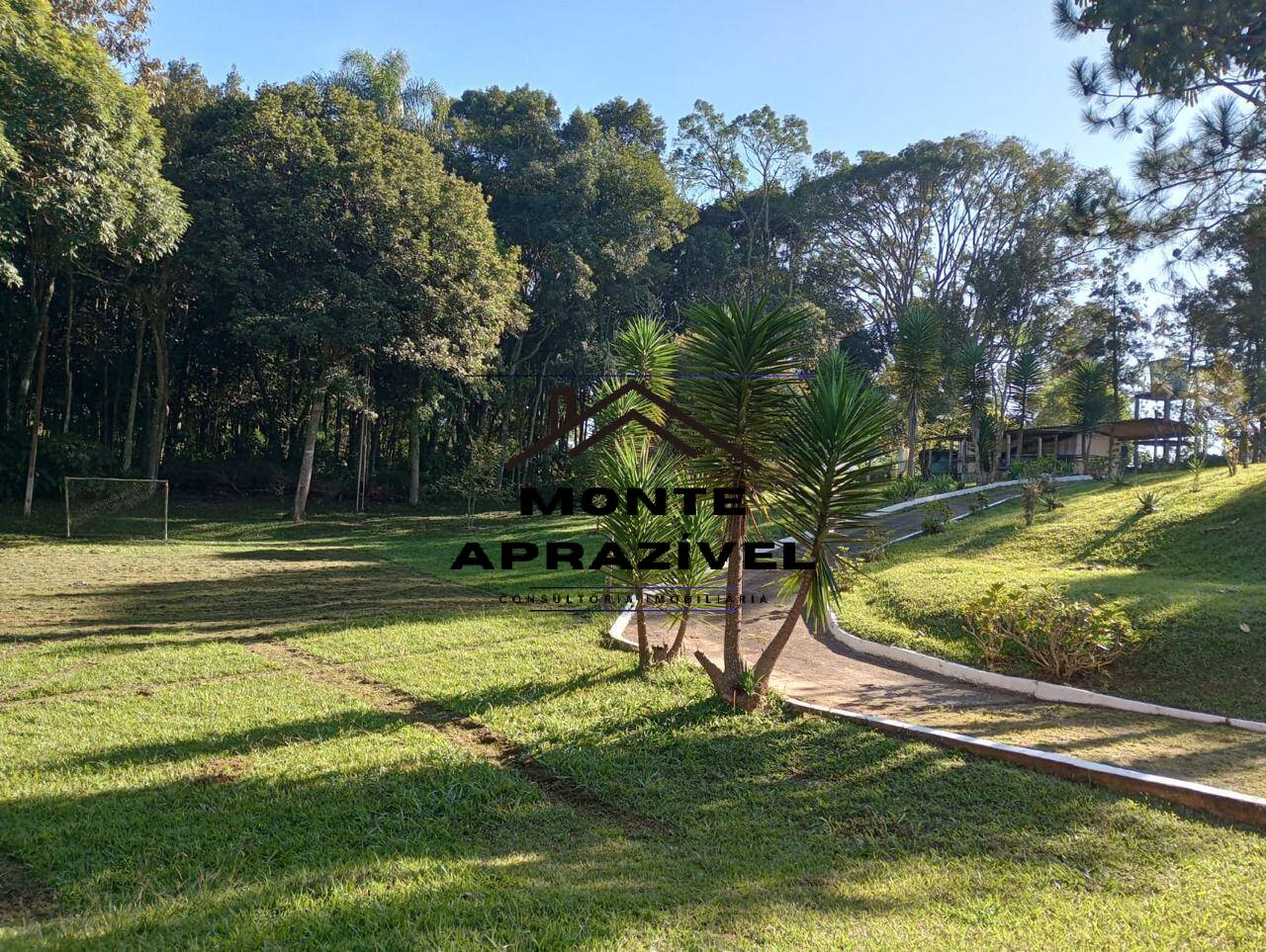 Chácara à venda e aluguel com 5 quartos, 5000m² - Foto 11