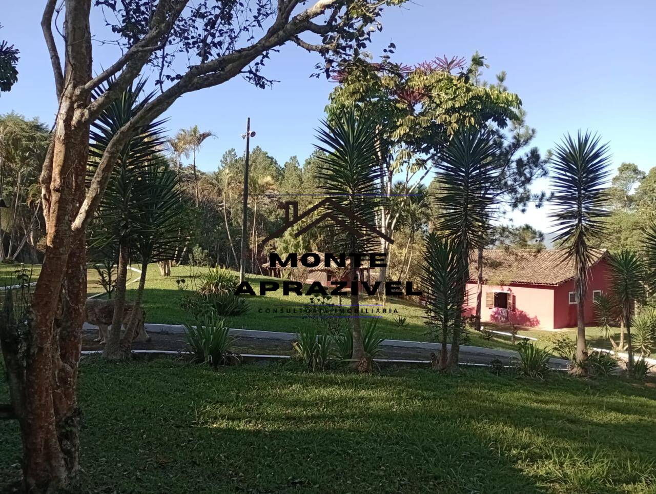Chácara à venda e aluguel com 5 quartos, 5000m² - Foto 29