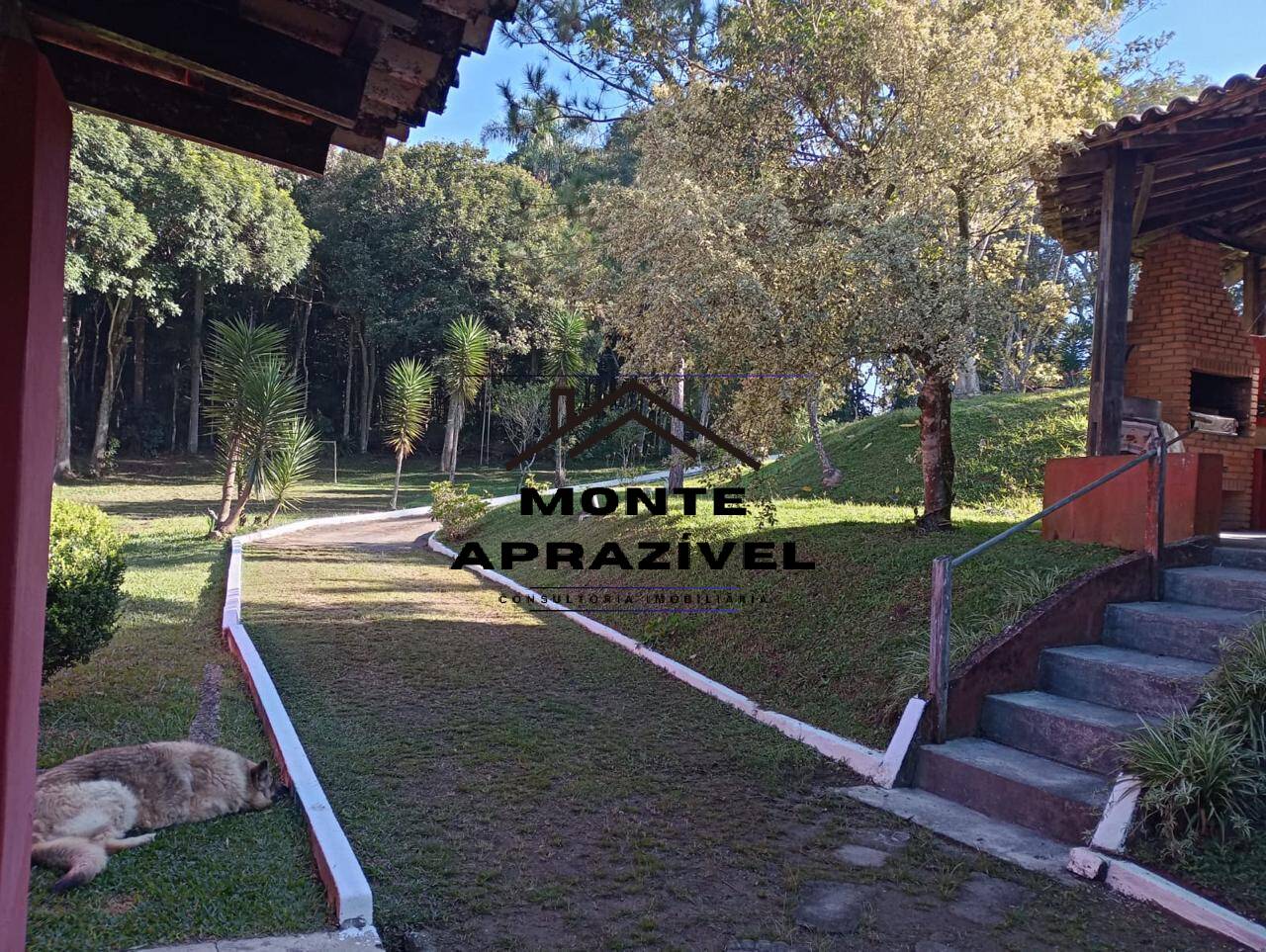 Chácara à venda e aluguel com 5 quartos, 5000m² - Foto 32